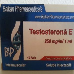 Buy Testosterone E anabolic steroid
